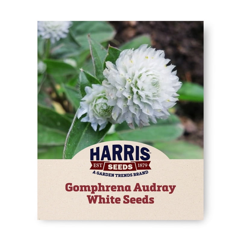 Harris Seeds Gomphrena Audray Seeds