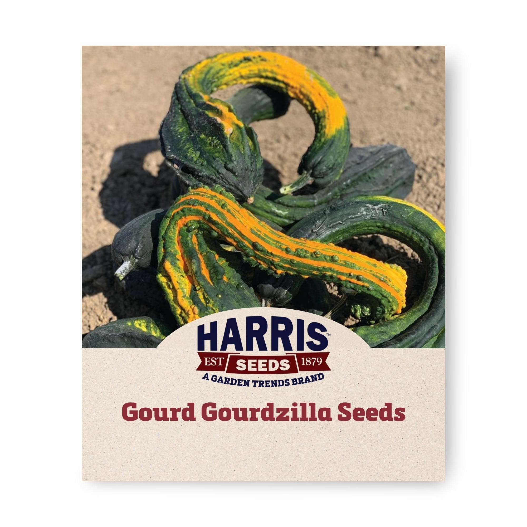 Harris Seeds Gourdzilla Gourd Seeds - Thumbnail 2