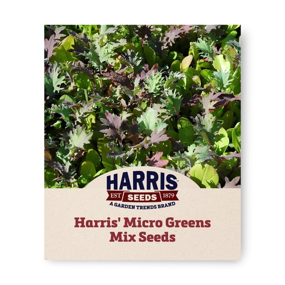 Harris Seeds Harris' Micro Greens Mix Plant Seed, Colorful Blend of Chard, Beet, Arugula, Kale and Lettuce, 250 Count