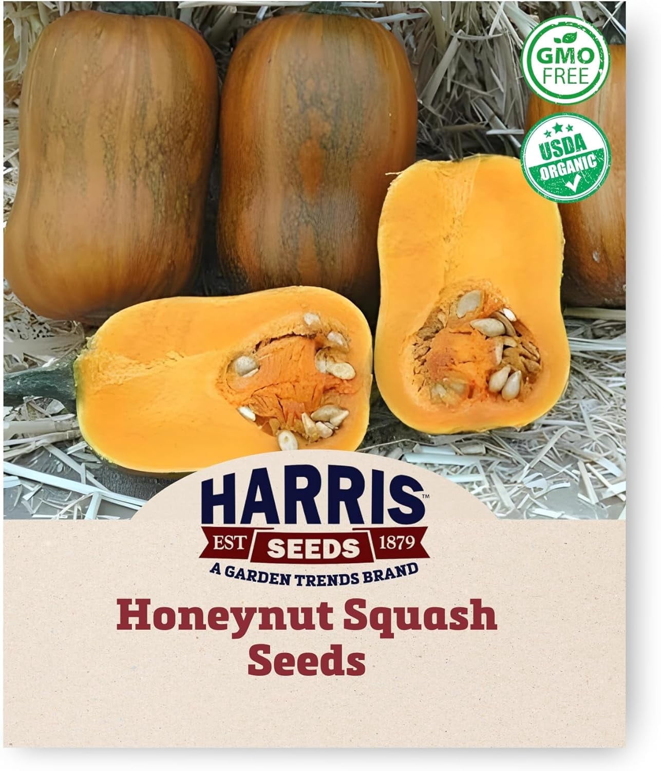 Harris Seeds Honeynut Squash