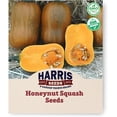 thumbnail image 1 of Harris Seeds Honeynut Squash, Mini Butternut Variety for Garden Growing, Organic, 25 Count, 1 of 7