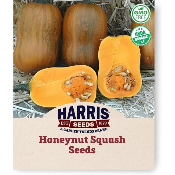 Harris Seeds Honeynut Squash, Mini Butternut Variety for Garden Growing, Organic, 25 Count