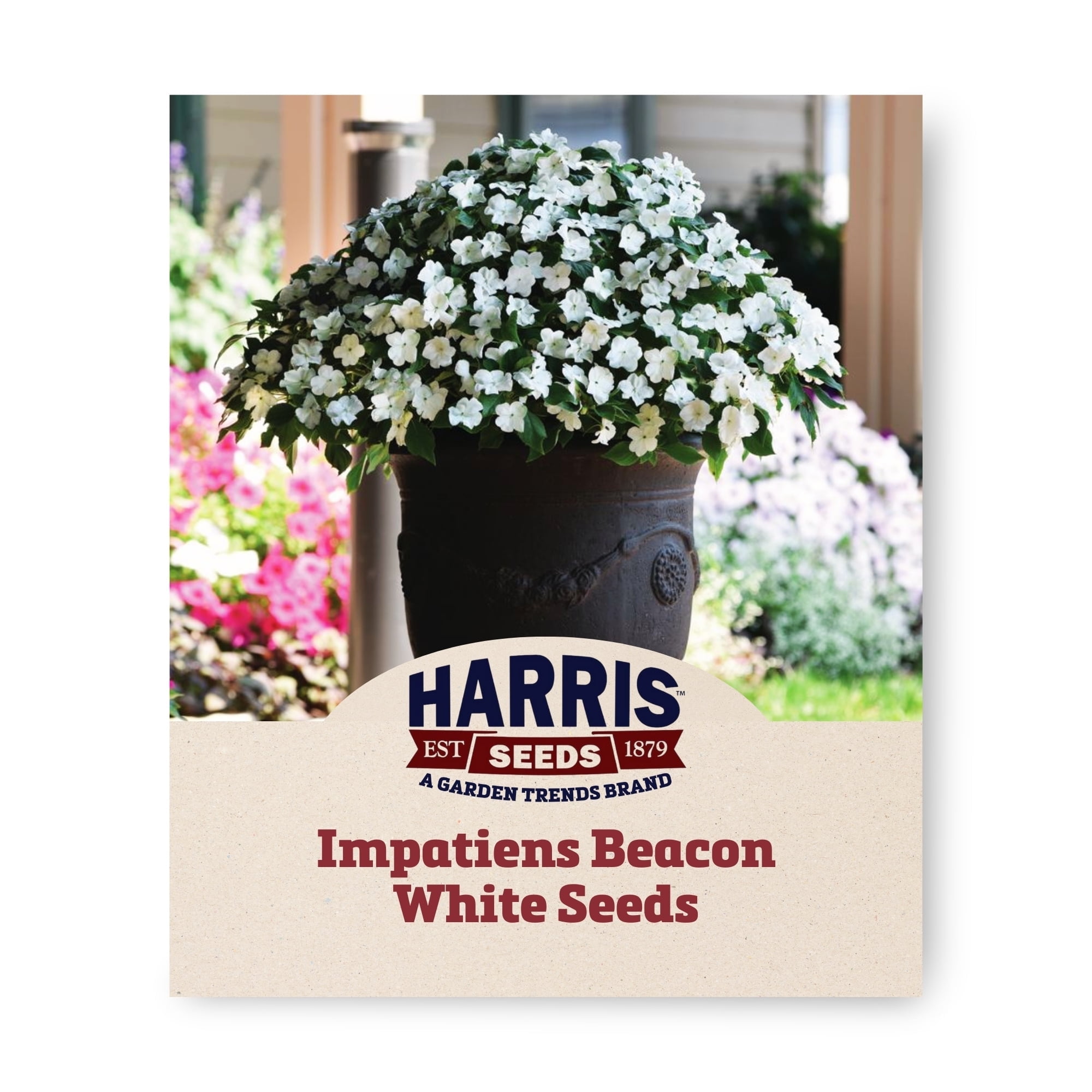 Harris Seeds - Impatiens Beacon White Seeds - Annual Flowers - 250 Seeds