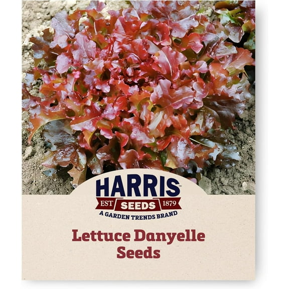 Harris Seeds - Lettuce Danyelle Seeds Easy Growing - Deep Red Leaves - 0.5 Oz