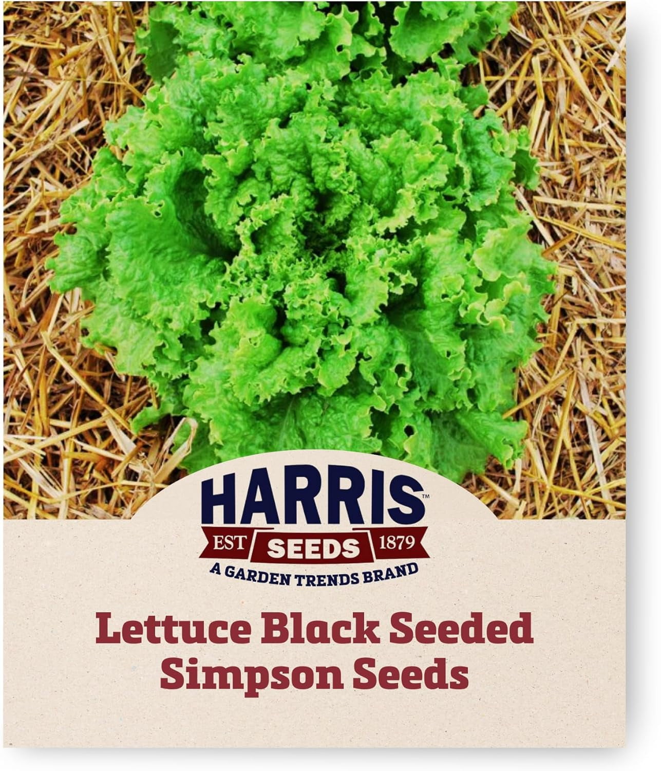 Harris Seeds Simpson Lettuce Seed