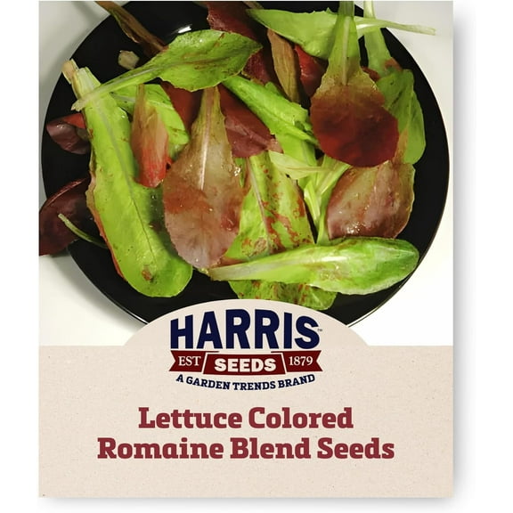 Harris Seeds - Lettuce Seeds Colored Romaine Blend Variety Multicolor - 250 Seeds