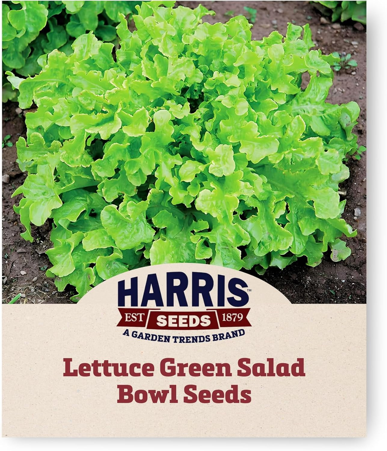 Harris Seeds Lettuce Seeds