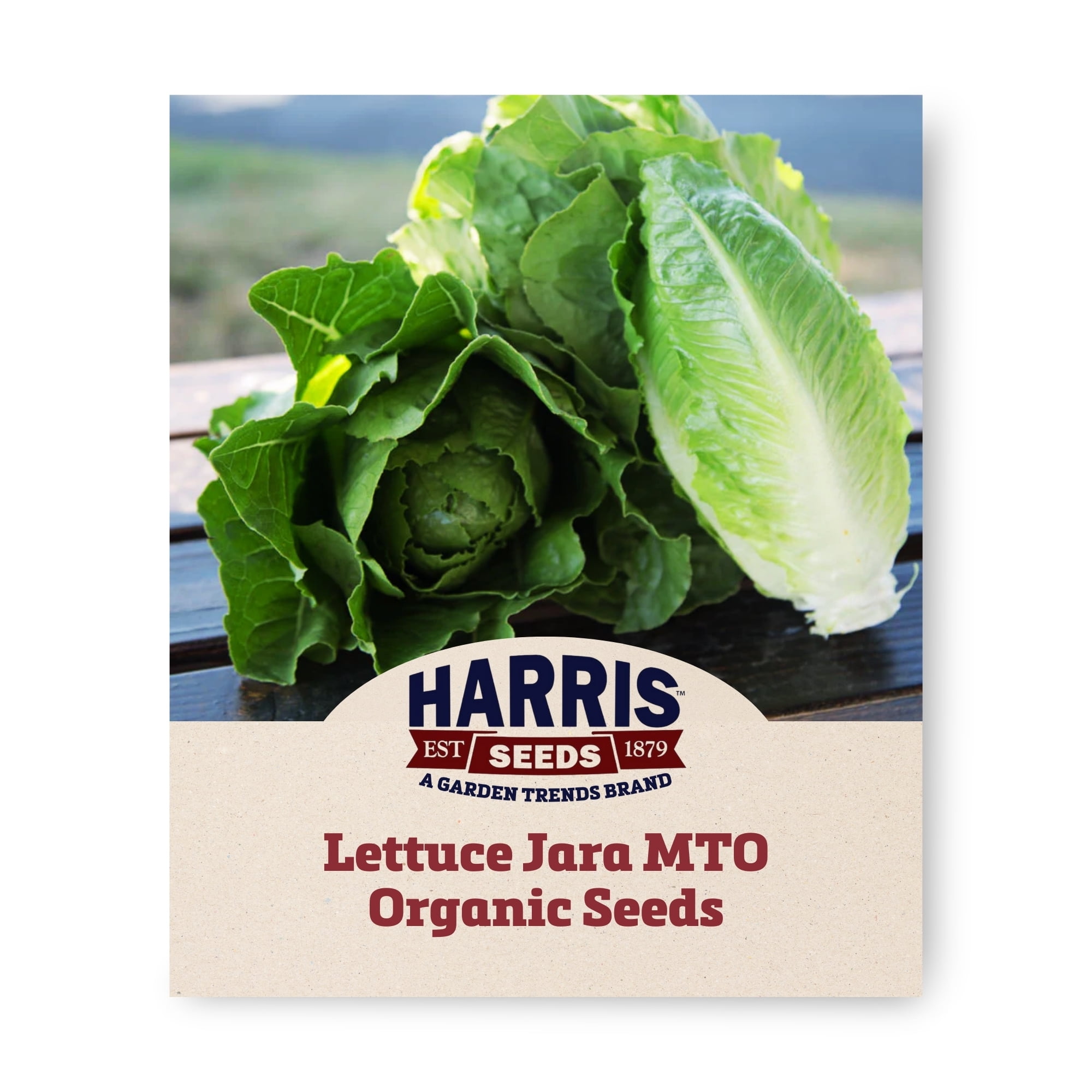 Harris Seeds Jara Lettuce Seeds