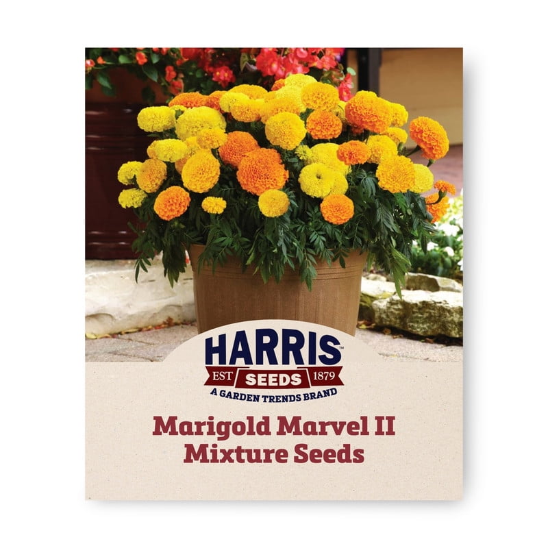 Harris Seeds Marigold Marvel II Plant Seeds