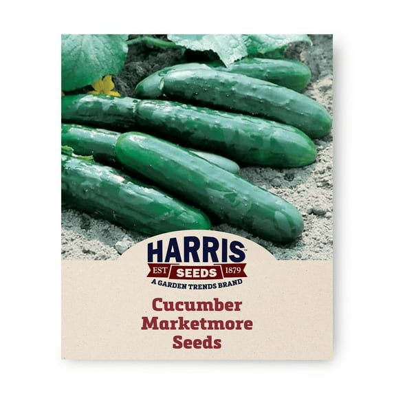Harris Seeds - Marketmore 76 Cucumber Seeds - Treated - NON-GMO - 5 Lbs