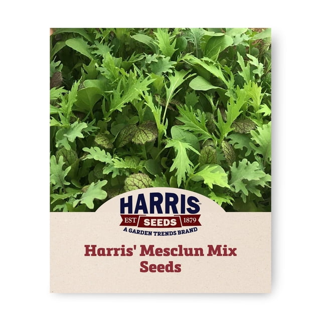 Harris Seeds Mesclun Mix Plant Seed, Baby Salad Greens, 3–5 Inch ...