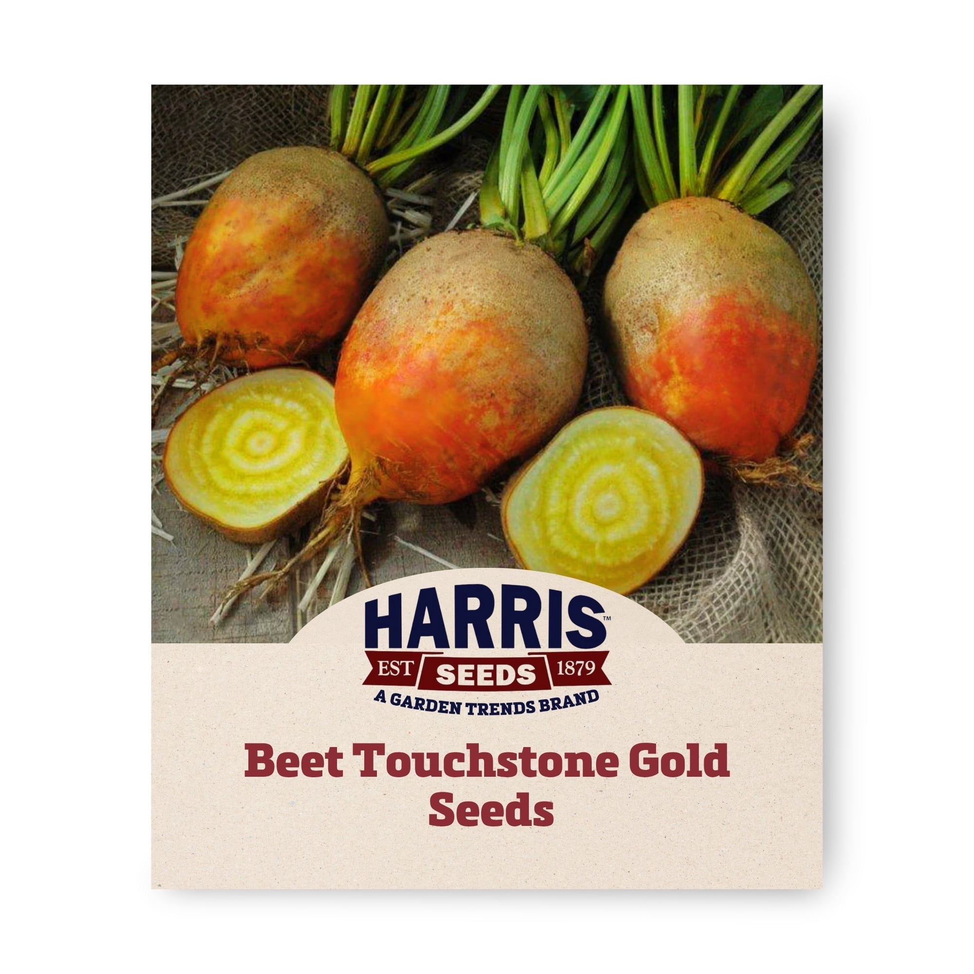 Harris Seeds Beet Touchstone Gold Seed - Thumbnail 2