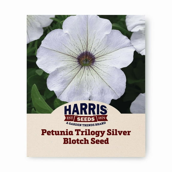 Harris Seeds - Non-GMO F1 Petunia Trilogy Silver Blotch Seeds - 25 Seeds