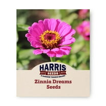 Harris Seeds - Non-GMO Zinnia Dreams Seeds For Planting - 250 Seeds