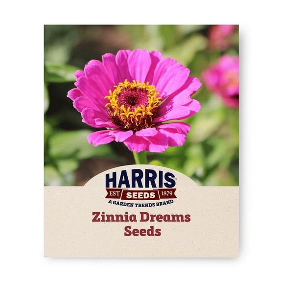 Harris Seeds - Non-GMO Zinnia Dreams Seeds For Planting - 250 Seeds