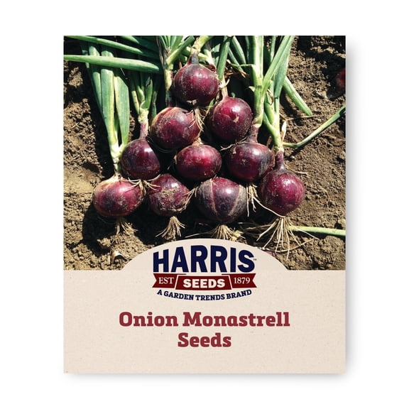 Harris Seeds Monastrell Organic Onion Seeds, Intermediate-Day, Non-GMO, Red Bulbs, 50 Count