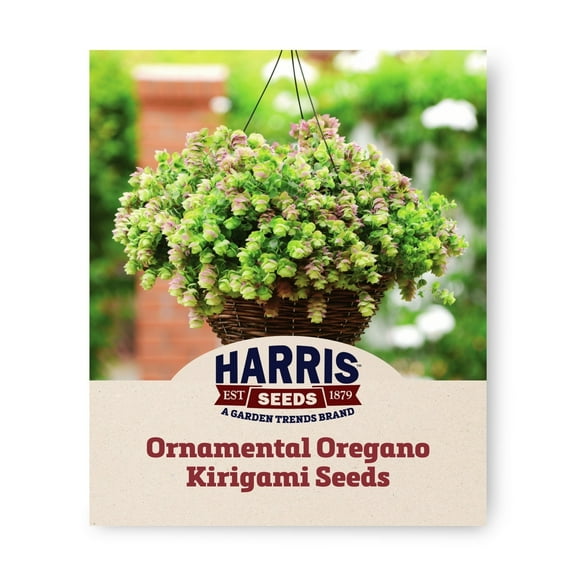 Harris Seeds Oregano Kirigami Plant Seeds, Ornamental