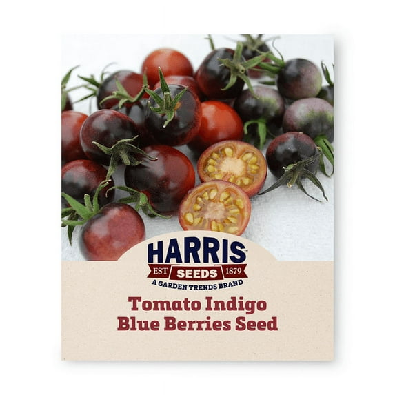 Harris Seeds - Organic Cherry Indigo Blue Berries Tomato Seeds - 250 Seeds