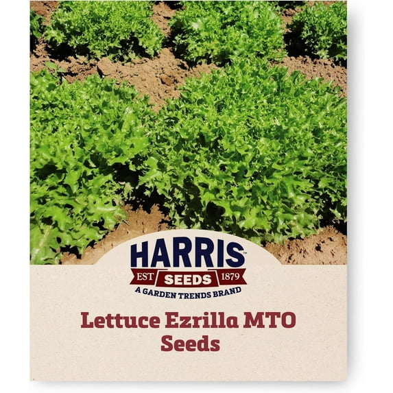Harris Seeds -Organic Lettuce Seeds Ezrilla MTO Variety Sweet Blanch - 1,000 Pelleted Seeds
