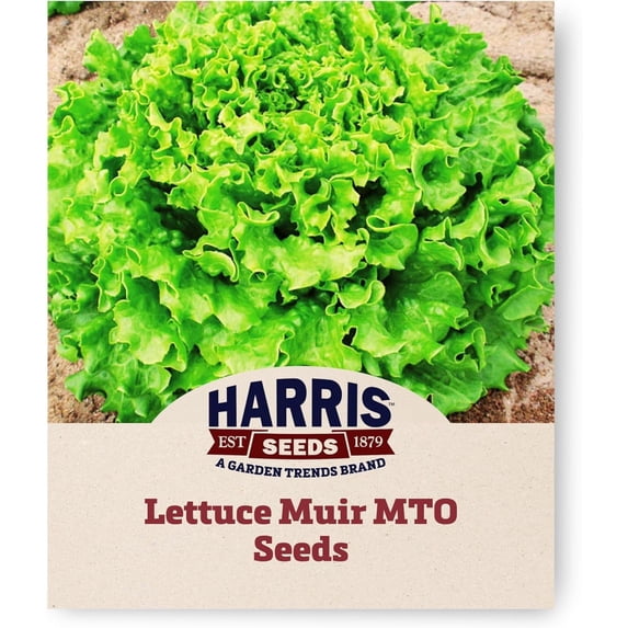 Harris Seeds Lettuce Muir MTO Organic, Green Leaf Variety, Pelleted, 1,000 Count