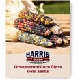 thumbnail image 1 of Harris Seeds - Organic Ornamental Corn Seeds Glass Gem Variety Multi-Color - 250 Seeds, 1 of 5