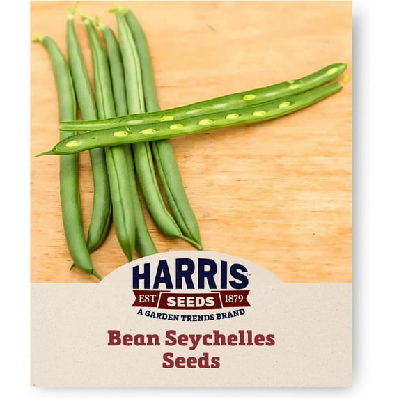 Harris Seeds - Green Bean Seeds - Seychelles - Pole Organic Non-GMO - 250 Seeds