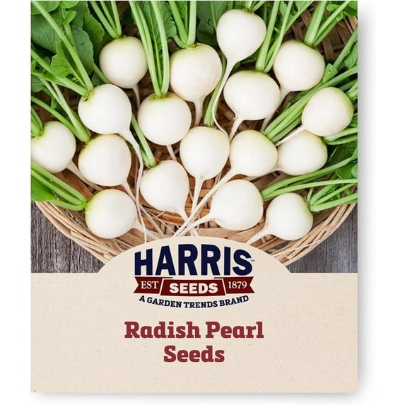 Harris Seeds - Organic Radish Pearl Crisp Variety White Flesh Seeds - 1,000 Seeds