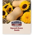 thumbnail image 1 of Harris Seeds - Organic Squash Seeds Essex Variety Sweet Deep Orange - 250 Seeds, 1 of 7