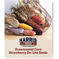 Harris Seeds - Ornamental Corn Seeds Strawberry De-Lite Popcorn Multicolor - 100 Seeds