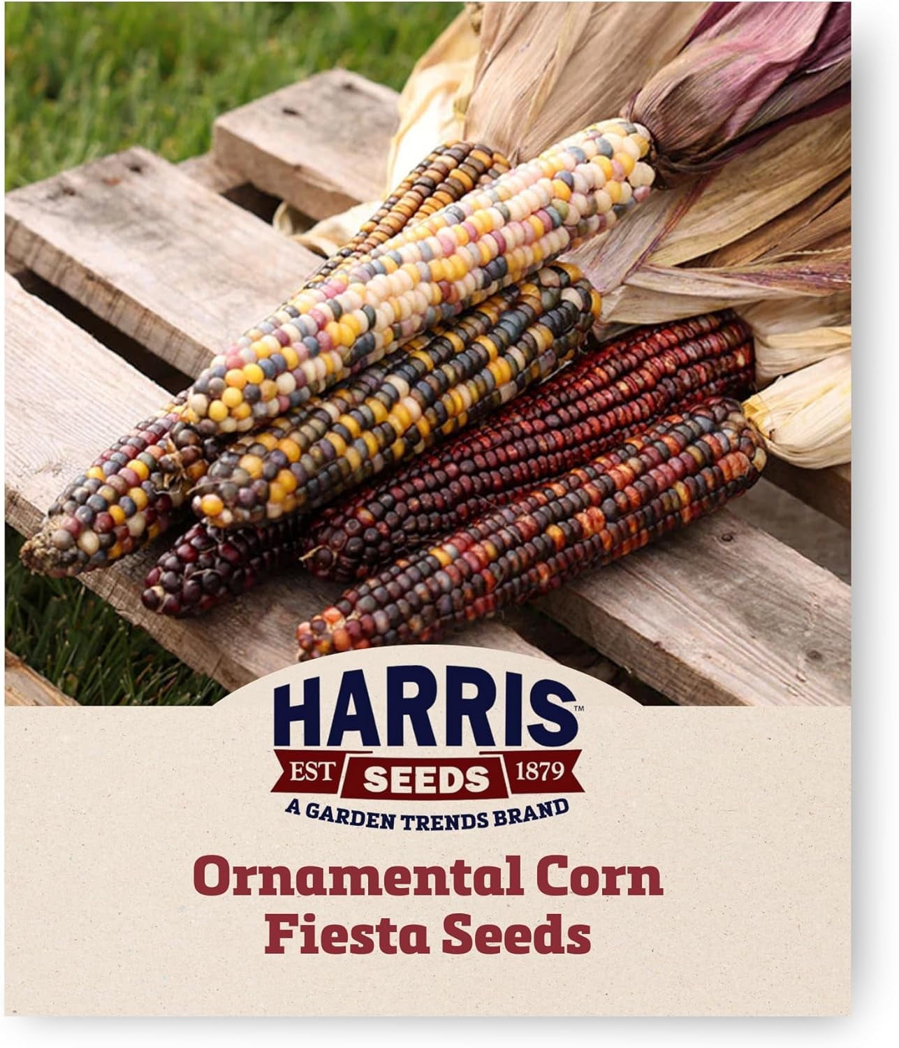 Harris Seeds Ornamental Corn Seeds Fiesta F1