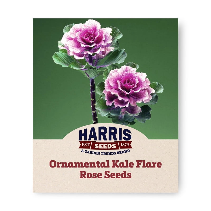 Harris Seeds - Ornamental Kale Flare Rose F1 Seeds - Ruffled Cut Flower ...