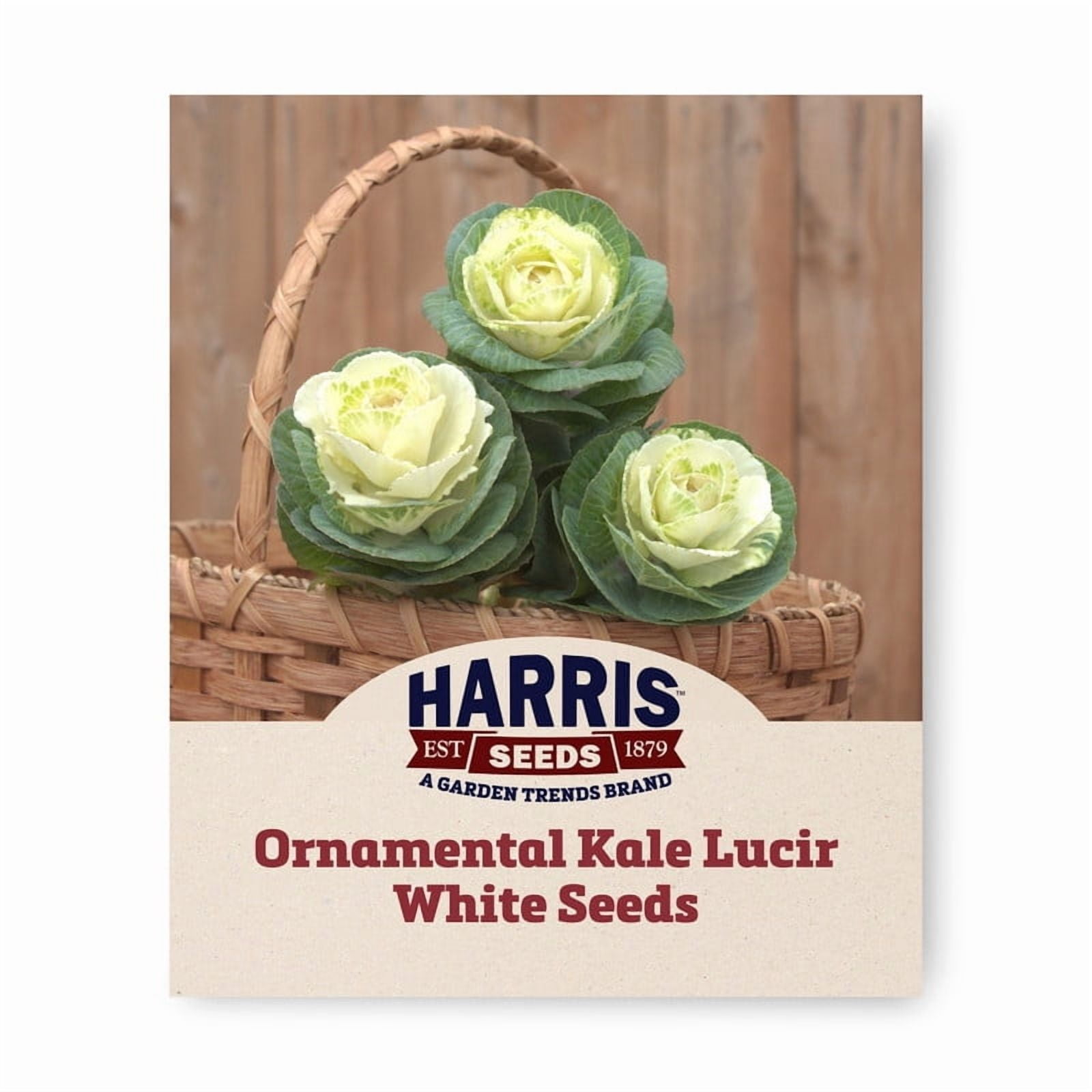 Harris Seeds Ornamental Kale Seed
