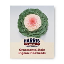 Harris Seeds - Ornamental Kale Pigeon Pale Pink Center Green Outer Leaves F1 - 50 Seeds