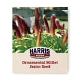 thumbnail image 1 of Harris Seeds - Ornamental Millet Jester F1 Seeds - Quick Germination - 100 Seeds, 1 of 5