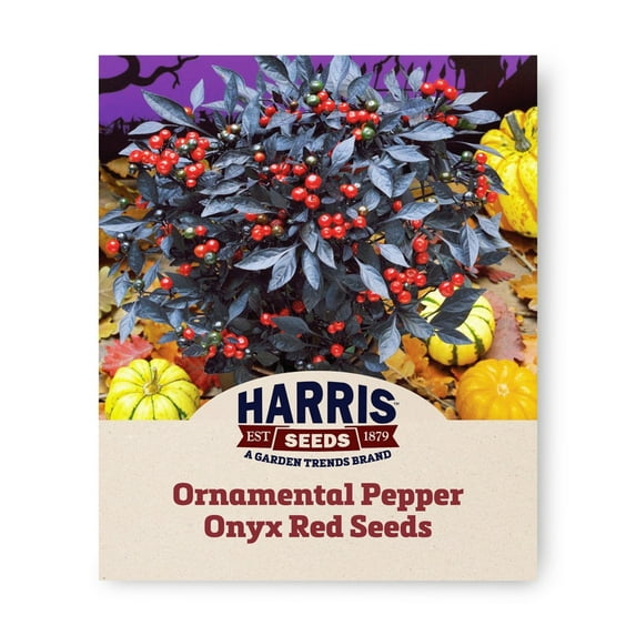 Harris Seeds - Ornamental Pepper Onyx Red Seeds - Annual Type Plant - 100 Seeds