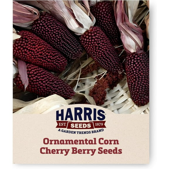 Harris Seeds - Ornamental Red Corn Cherry Berry Seeds Non-GMO Kernel - 0.5 Lbs
