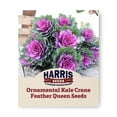 thumbnail image 1 of Harris Seeds - Ornamental Red Kale Crane Feather Queen F1 Hybrid - 100 Seeds, 1 of 5