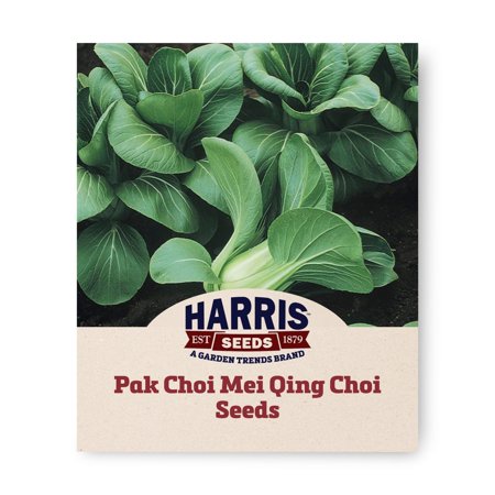 Harris Seeds - Treated Pak Choi Mei Qing Choi F1 Seeds - Early Maturing Variety - 50 Seeds