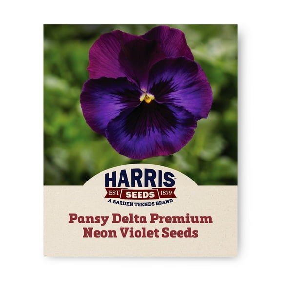 Harris Seeds - Pansy Delta Premium Neon Violet F1 Flower Seeds - 250 Seeds