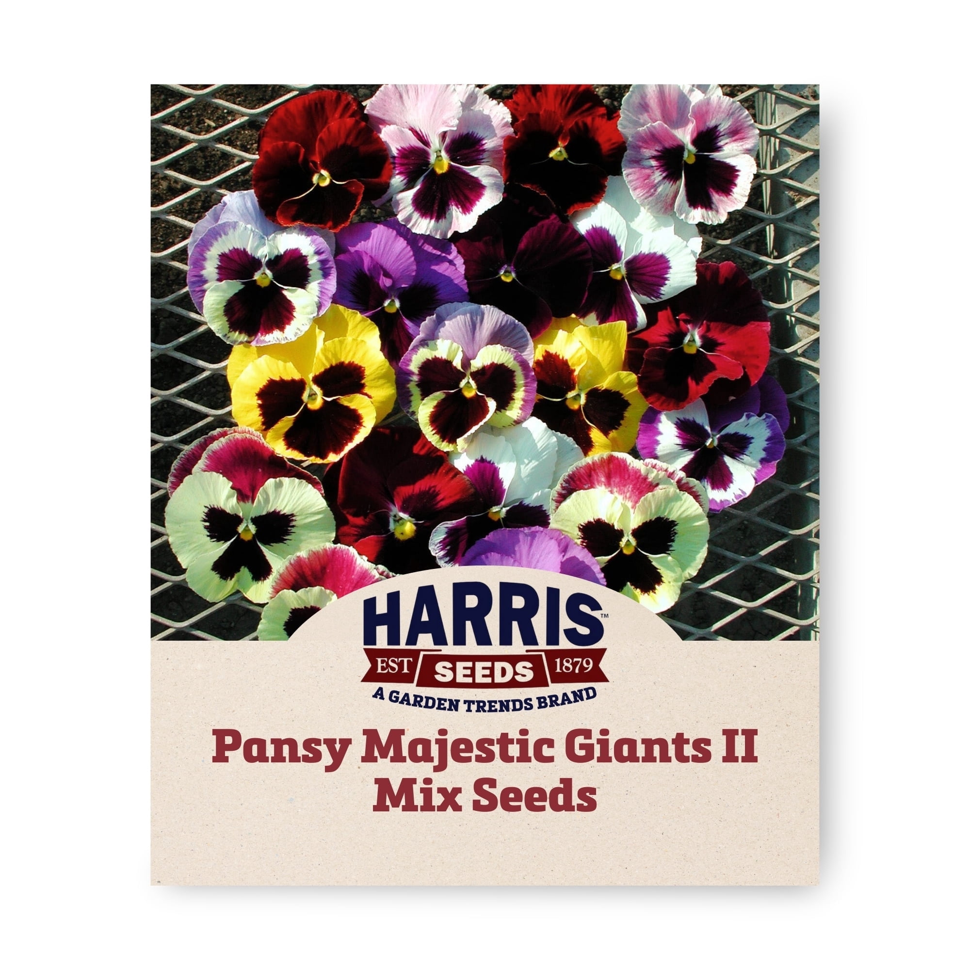 Harris Seeds Pansy Majestic Giants II Seed - Thumbnail 3