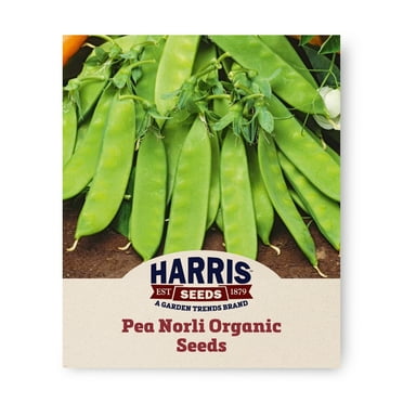 Harris Seeds - Pea Norli Organic Seeds - Sweet - Compact Plants with Stringless - 1,000 Seeds