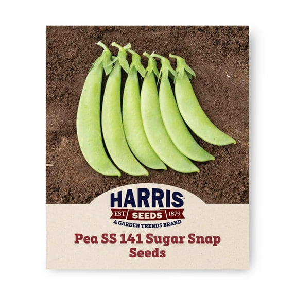 Harris Seeds - Pea SS 141 Sugar Snap Organic Seeds - Sweet - Fast Maturity - 50 Seeds