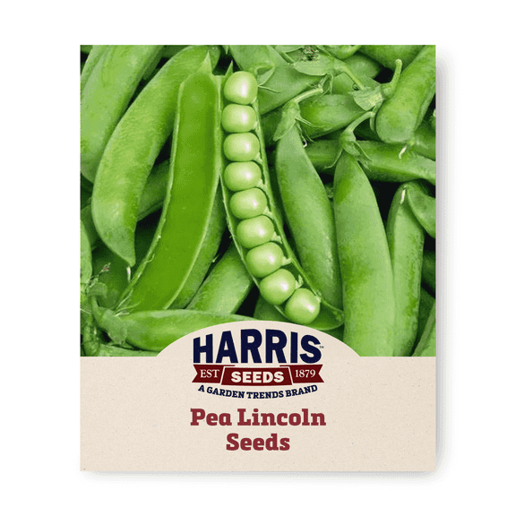 Harris Seeds Lincoln Pea, Main Season Garden Variety, Treated, 100 Count