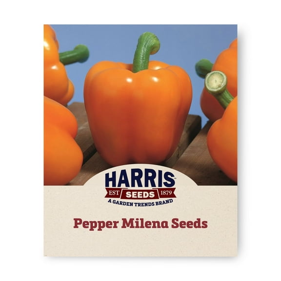 Harris Seeds - Pepper Milena F1 Organic Seeds - Early Harvest - 50 Seeds