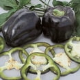 thumbnail image 1 of Harris Seeds - Pepper Seeds - Purple Beauty Variety - Non-GMO - Sweet, Blocky Fruit.- 50 Seeds, 1 of 4