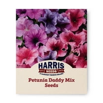 Harris Seeds - Petunia Daddy Mix F1 Seeds - Extra-Large Ruffled Flowers - 50 Pelleted Seeds