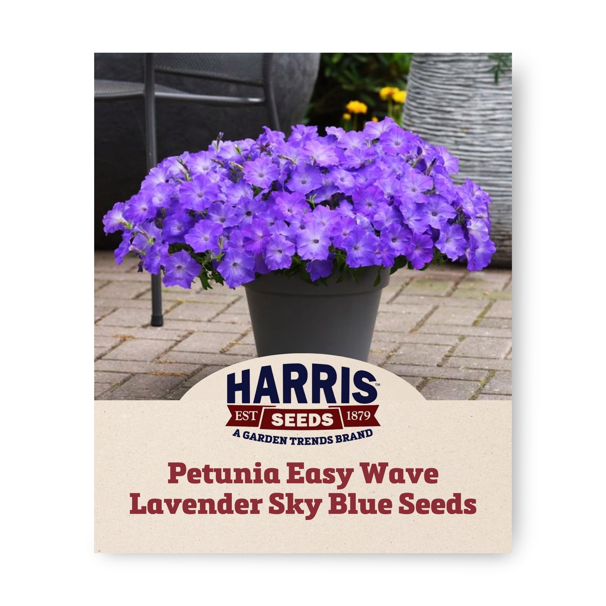 Harris Seeds Easy Wave Lavender Sky Blue F1 Petunia, Trailing Flowering Annual for Baskets and Containers, 100 Count