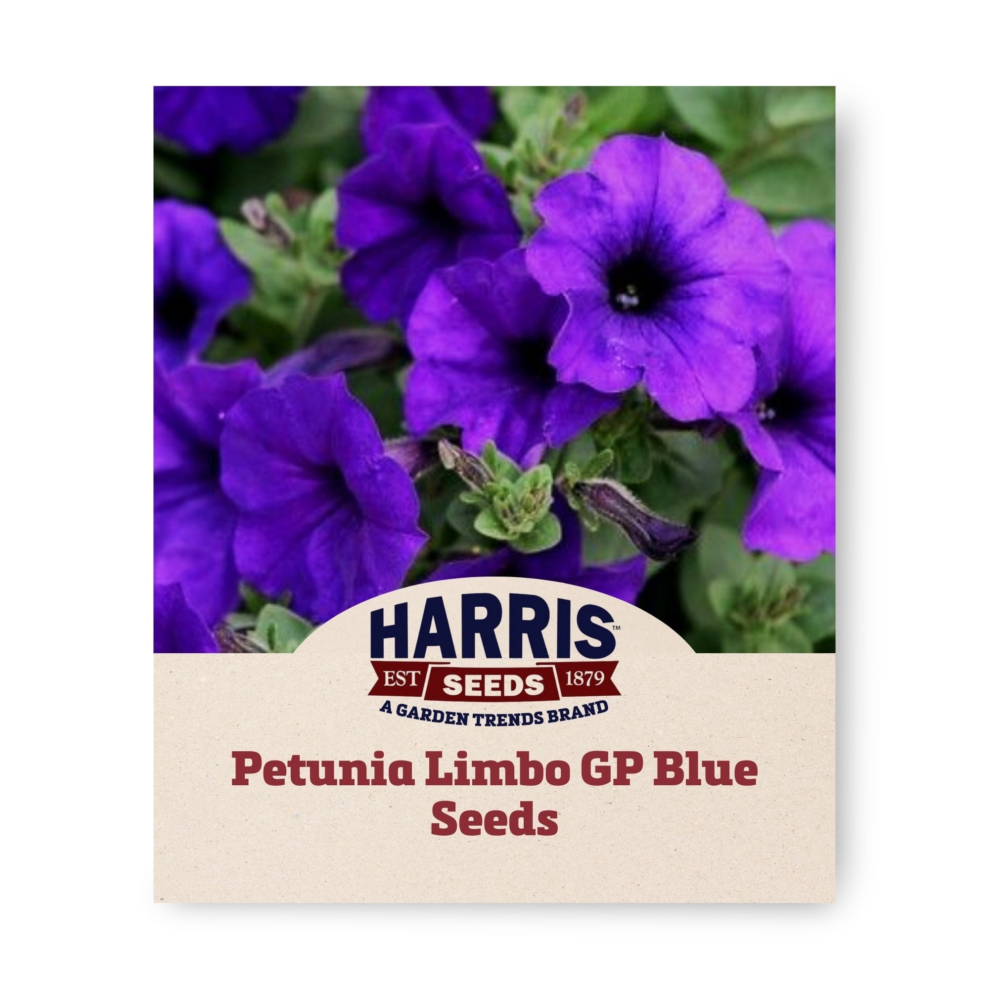 Harris Seeds Petunia Limbo GP Seed