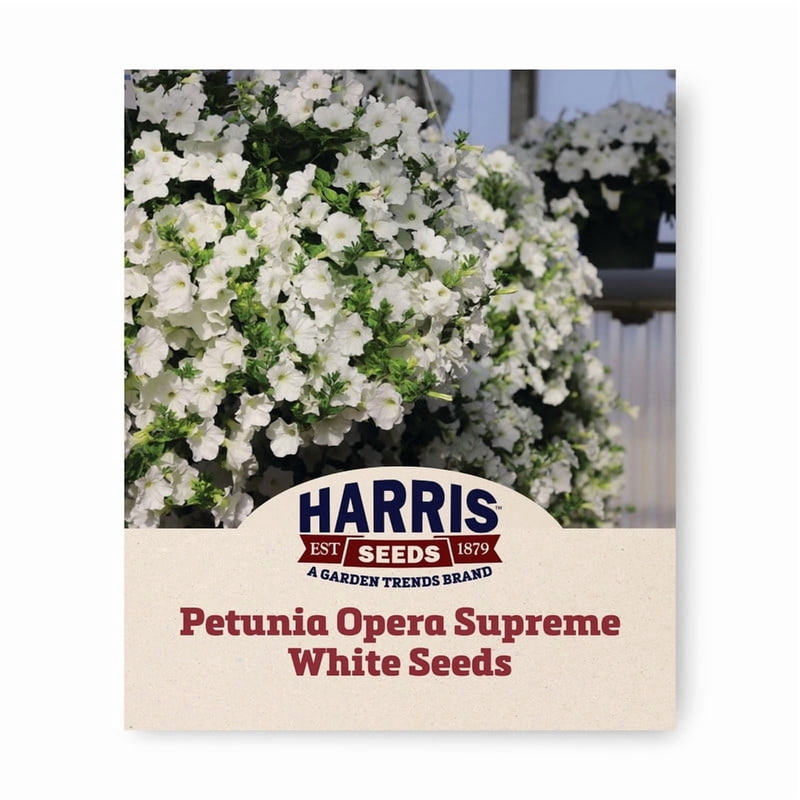 Harris Seeds - Petunia Opera Supreme White F1 Seeds - Low-Growing with Profuse Blooms - 100 Seeds