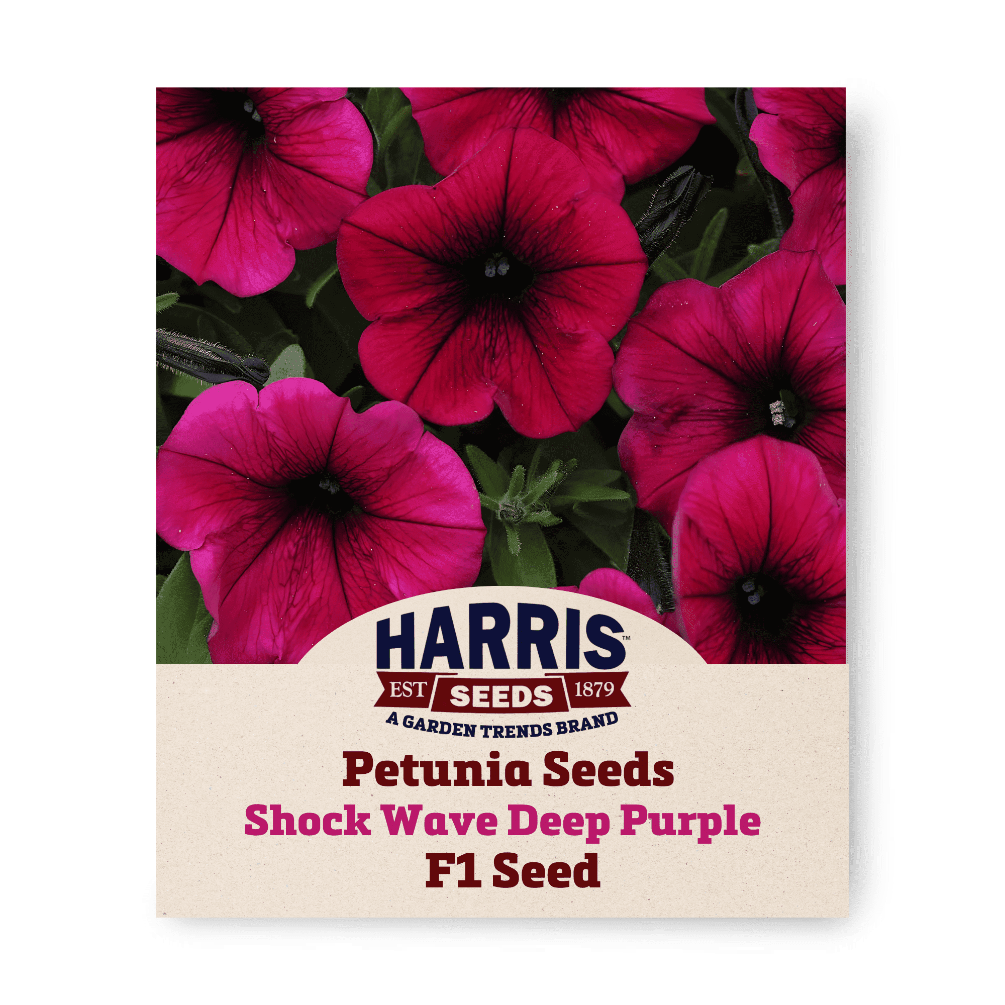 Harris Seeds Petunia Shock Wave Deep Purple F1 Seed - NON-GMO - 100 Pelleted Seeds